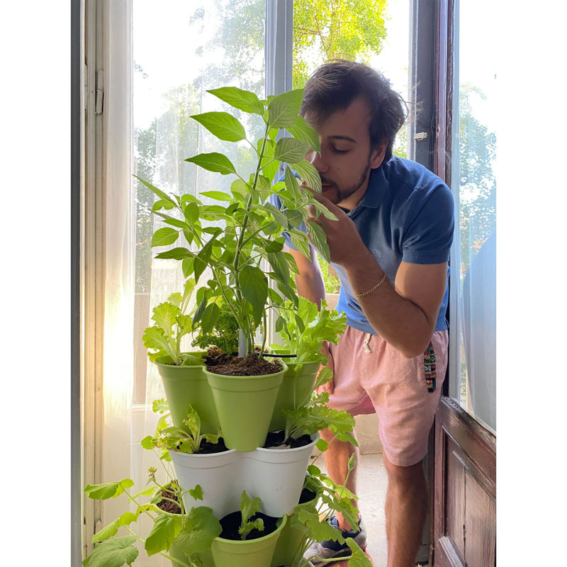 Ollyver Planter