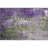 Premium Machine Washable Medena AMF1870 Abstract Rug-2094092325