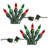 Electric Mini String Lights with 100 Bulbs-61208170