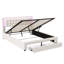 Velvet Hybrid Storage Beds Bed