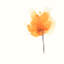 « expressif fleuris ix », impression sur toile-29090378-72799081-72799076