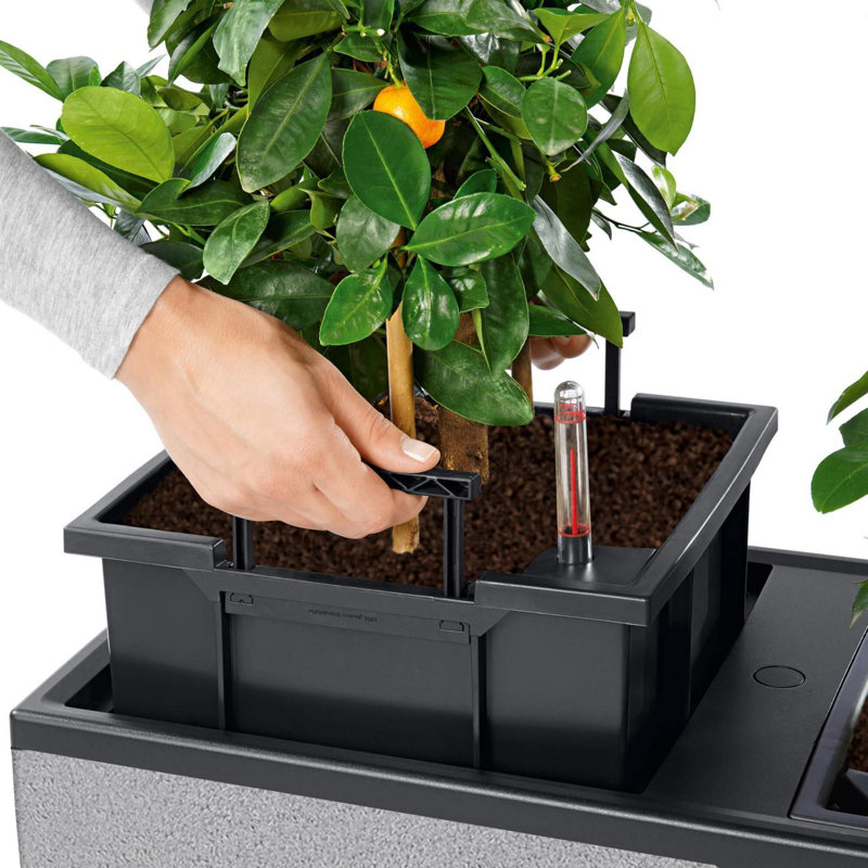 Planter Box, Graphite Black