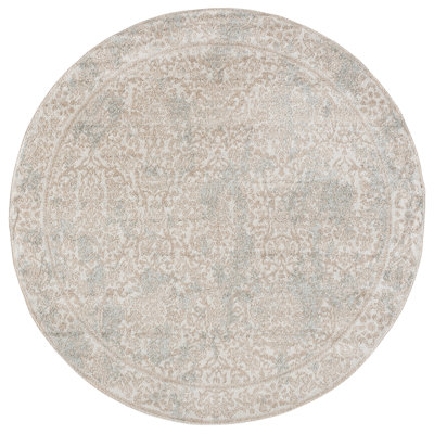 Evoke 242 Performance Oriental Rug