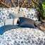 Narol Floral Duvet Cover with Pillowcases