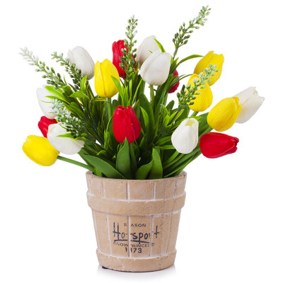 Arrangement floral de tulipes en pot