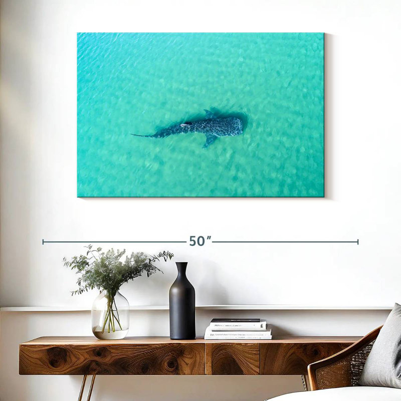 Crowle, requin baleine La Paz, H 26 po x l 39 po