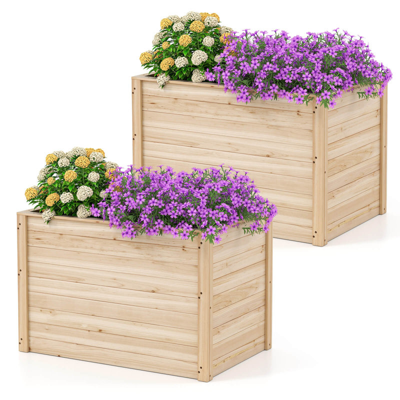Elevated Planter Box With Open-ended Base For Deep-rooted Vegetable, 2