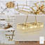 8 - Light Chandelier-1903535879