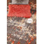Tapis à motif abstrait rouge / beige-53922567