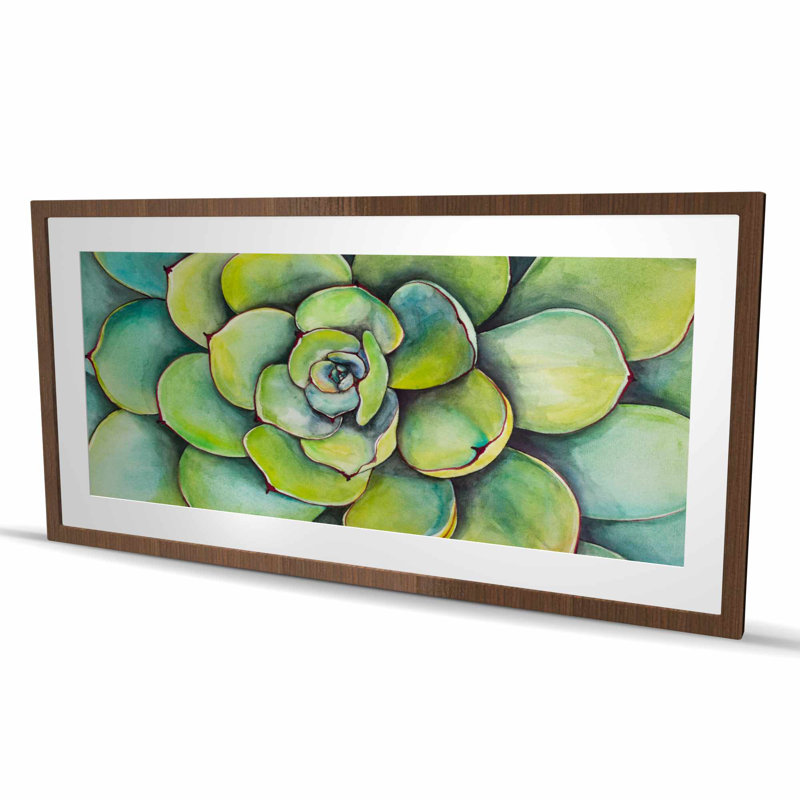 Aquarelle plante grasse - reproduction encadrée exotique pour chambre à coucher