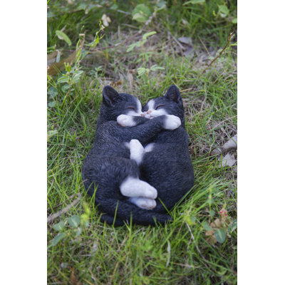 Sleeping Couple Cats