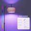 Lampe sur pied bohémienne en forme de Y avec télécommande et contrôle d'application, éclairage à intensité variable