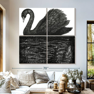 Black Swan Reflection