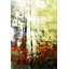 Parvez Taj - Wrapped Canvas Print-15807086