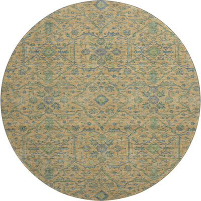 Premium Machine Washable Ducote AMF1131 Global Rug