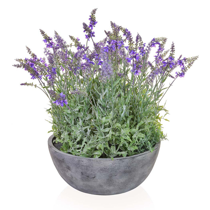 Lavender Arrangement in Pot