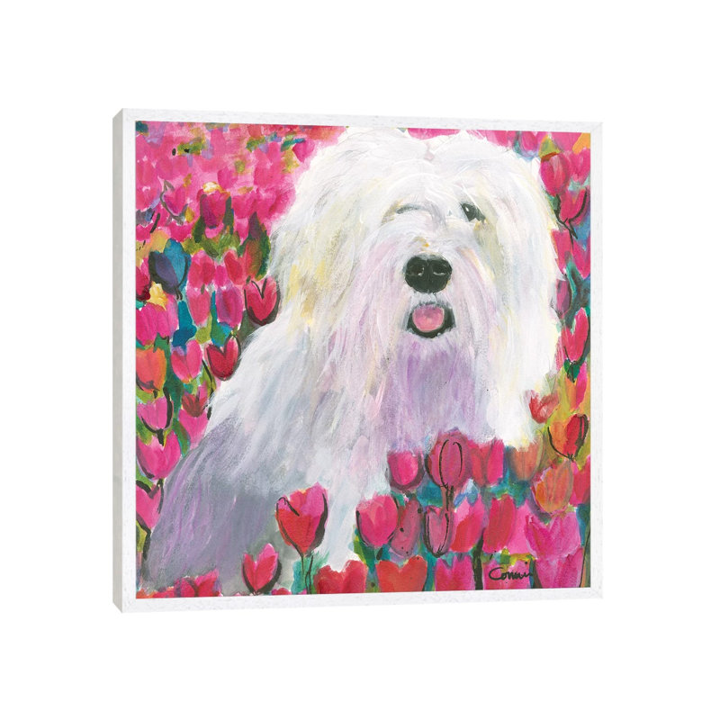 Sheepdog In Tulip Field by Connie Collum - Painting on Canvas, White Framed, 45.72 cm H x 45.72 cm W