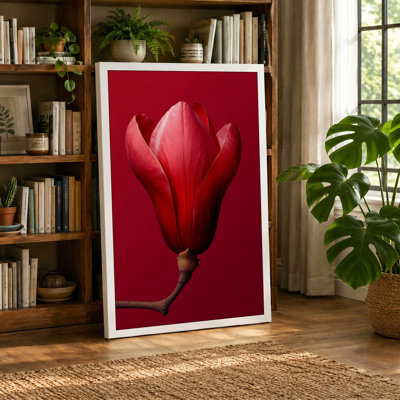 Magnolia Bloom Botanical - Wrapped Canvas