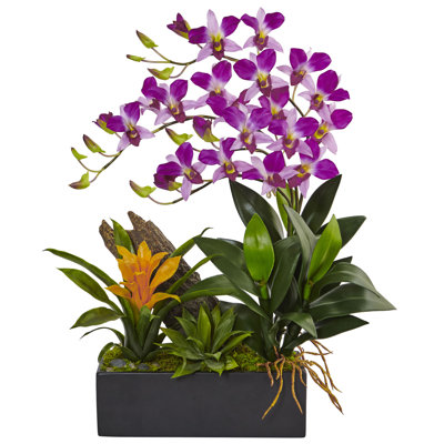 Arrangement in Planter