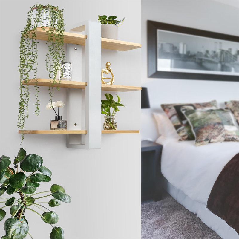 58cm H x 50cm W Standard Bookcase