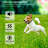 Dog Training Collar