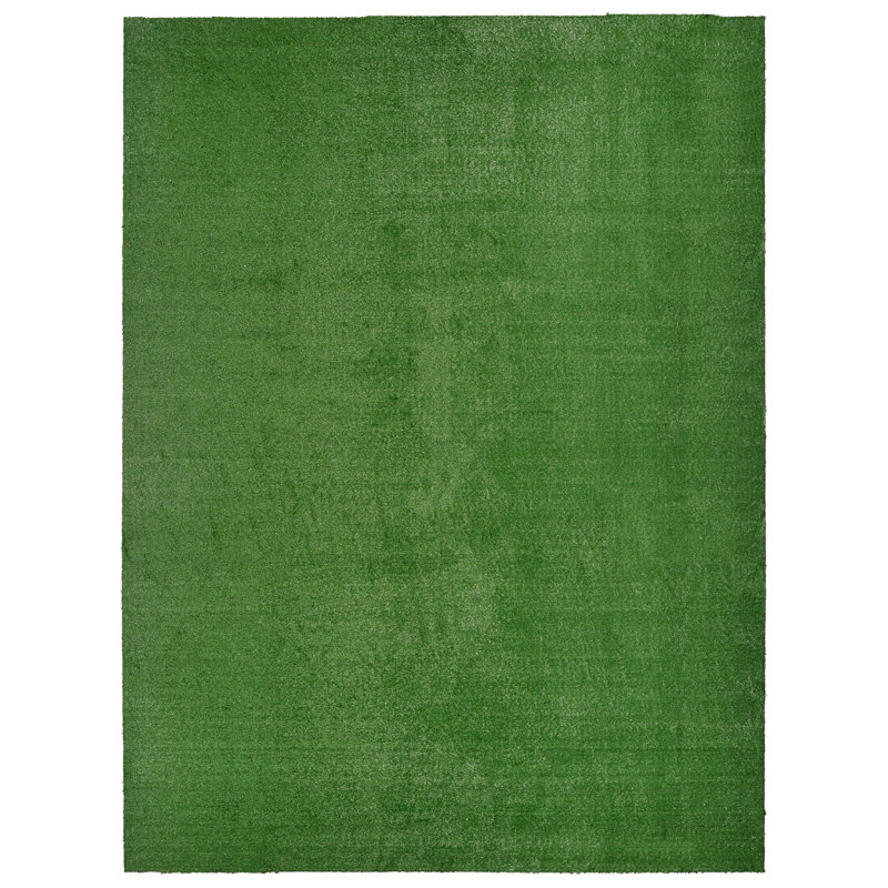 Ashkhen Indoor / Outdoor Rug, Rectangle 9' x 12'