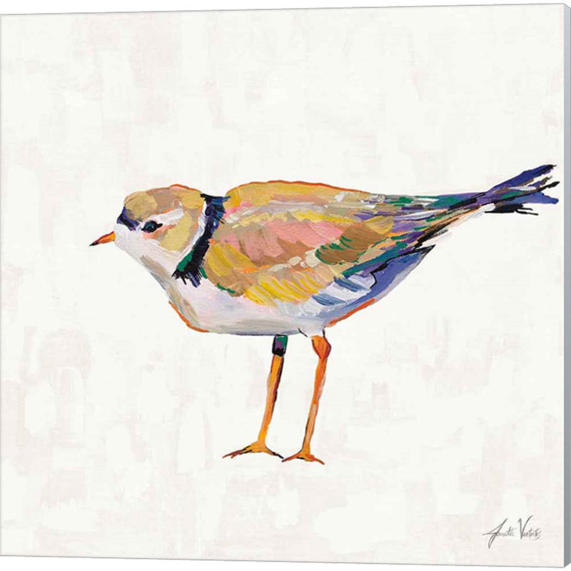 «Coastal Plover Linen» par Jeanette Vertentes, art sur toile (ensemble de 4)
