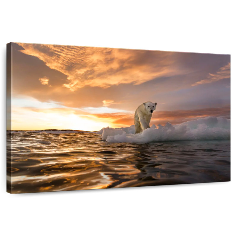 Crowle Polar Bear Iceberg Walk, 8" H x 12" W