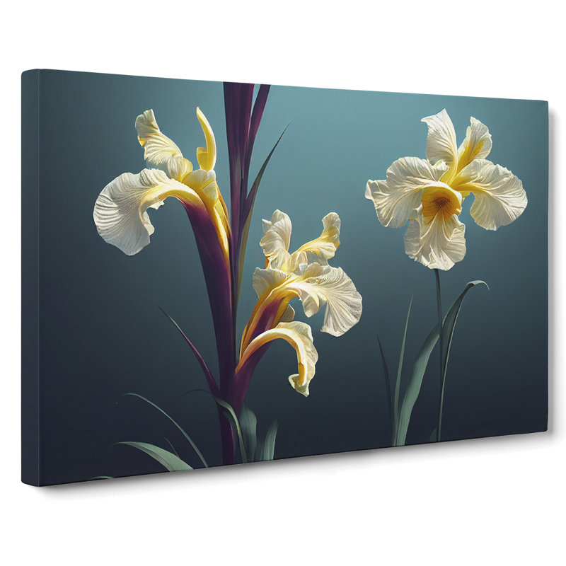 Thrilling Iris Flowers - Wrapped Canvas Print, 50cm H x 76cm W x 3cm D