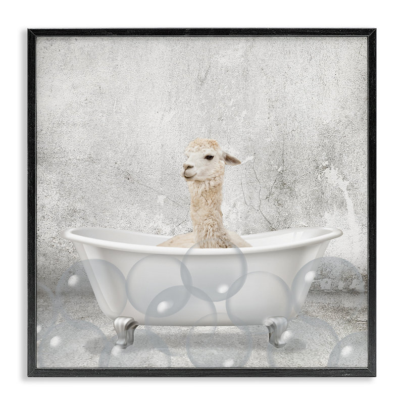 «Baby Llama Bath Time», reproduction d'impression, H 12 po x l 12 po, Giclée encadrée noir minuit