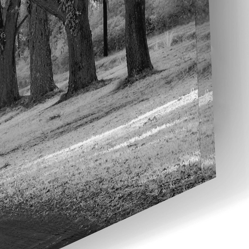 «Wormsloe Inf Light» par Mike Jones, H 12 po x l 16 po x P 0,13 po