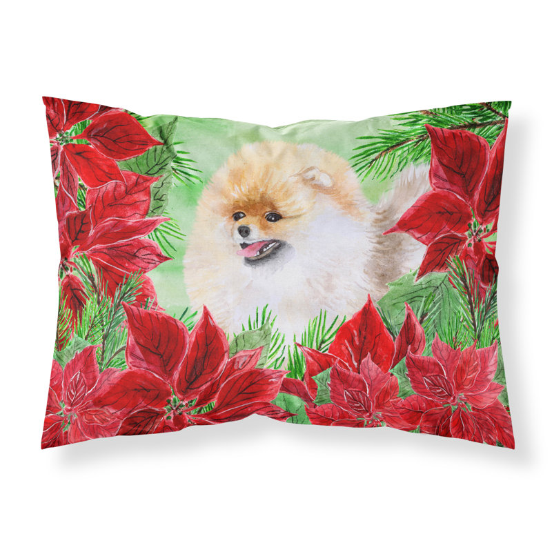 Microfiber, Pomeranian