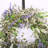 Handcrafted Mini Eucalyptus 24'' Front Door Wreath-1298253051