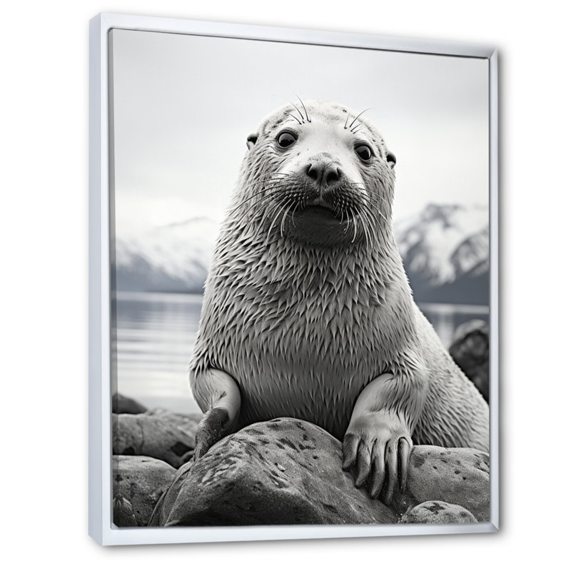 Lamarc, sceau de l'Arctique de l'Alaska - impression, H 20 po x l 12 po x P 1 po, Cadre flottant blanc