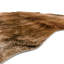 Arrow Drive Animal Print Hand Woven 190cm X 240cm Area Rug