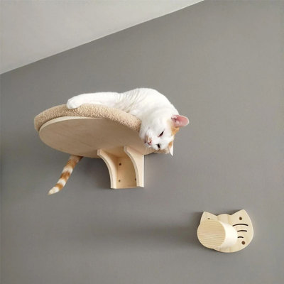 Cat Wall Climbing Hammock with Scratching Post