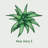 " Aloe Vera I "-1749354686