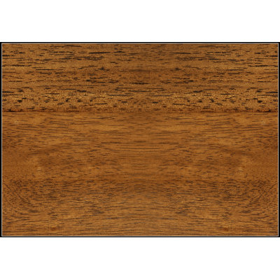 Ensemble de 2 chaises de salle à manger modernes sans accoudoirs, marron, chaises d'appoint contemporaines avec pieds en bois - Chaises d'appoint polyvalentes pour la salle à manger, la cuisine ou le salon