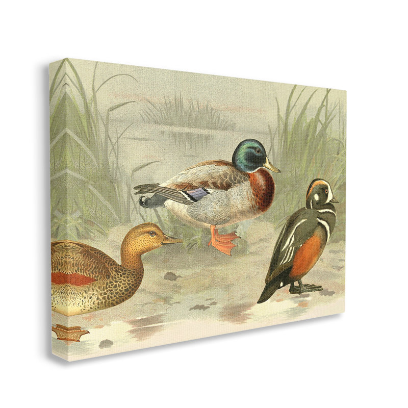 " Various Ducks By Pond " by Gail Fraser, 16" H x 20" W
