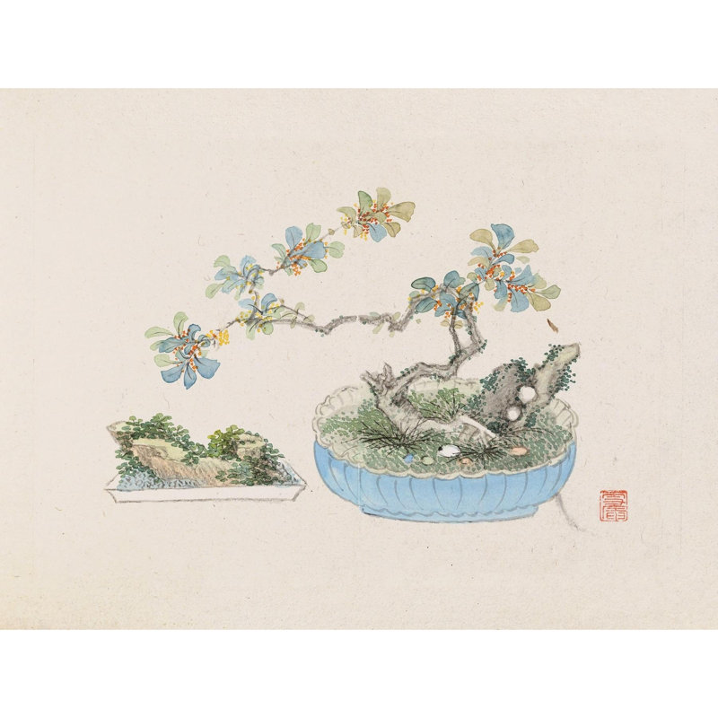 Bonsai kabenzu, Pl. 22 (1868-1912), H 28 po x l 36 po