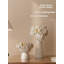 Figurines et sculptures Nykisha