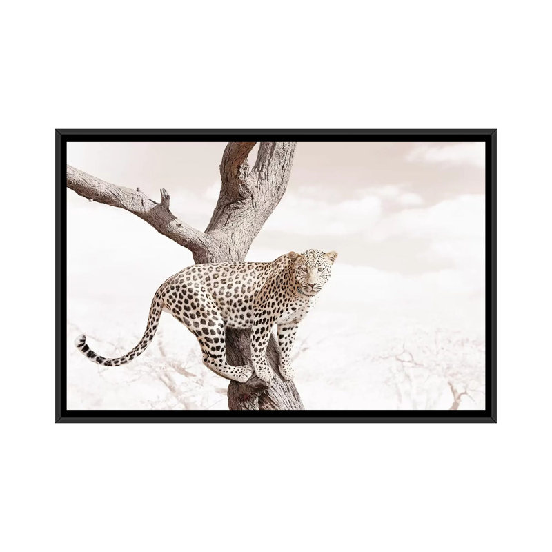 White Leopard by Klaus Tiedge - Print on Canvas, Black Framed, 66.04 cm H x 45.72 cm W