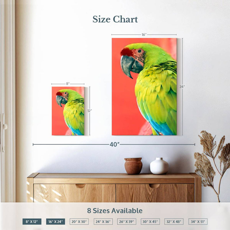 Brampt Green Macaw, 12" H x 8" W