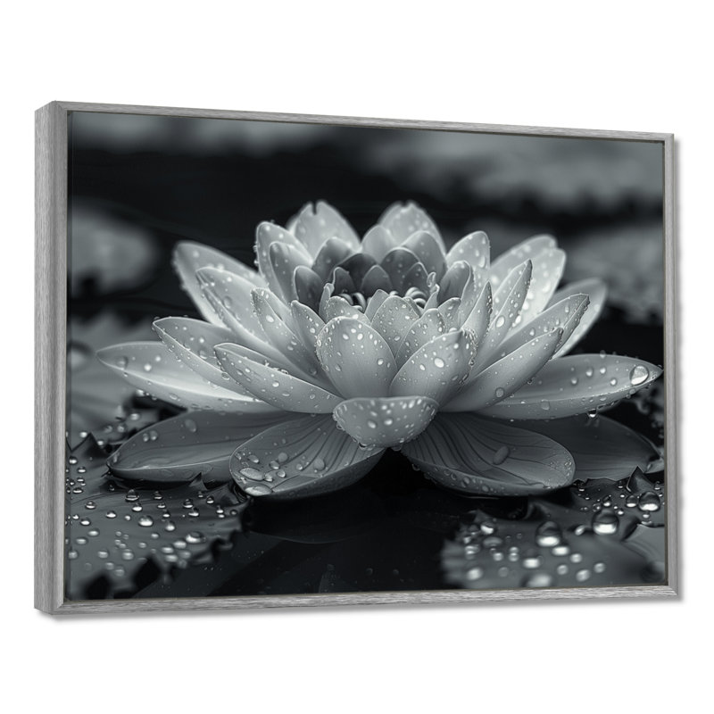 Lotus gris photo élégante silhouette II - décoration murale Lotus, H 12 po x l 20 po, Cadre flottant brun