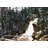 Falls of Alberta - Rustic Framed Canvas Landscape Decor