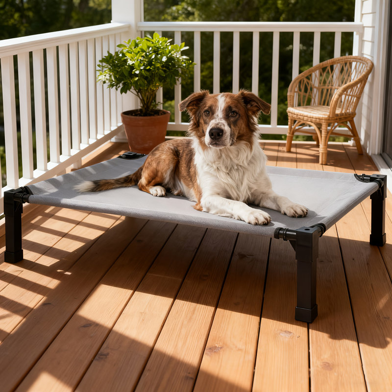 Lit pour chien Cooling Elevated, H 9,3 po x l 51 po x P 36,1 po, Gris