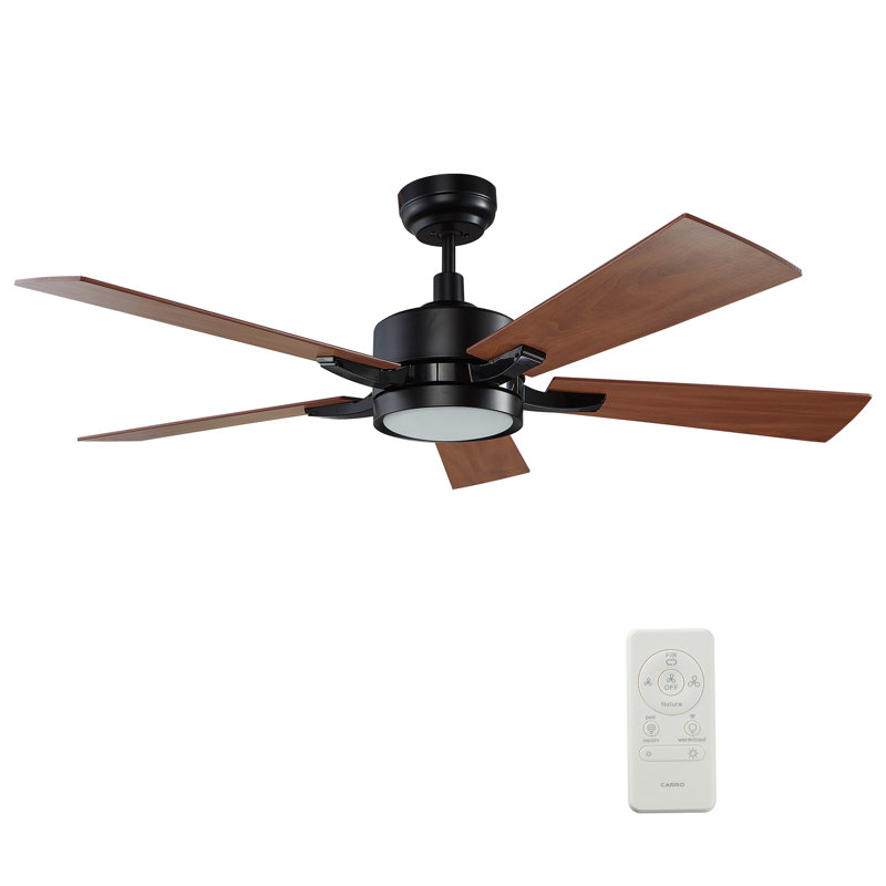 Ventilateur de plafond intelligent 56 pouces à 5 pales 56 po avec télécommande et ensemble d'éclairage Apex