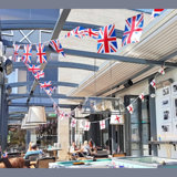 Electric Ceiling Mounted Patio Heater