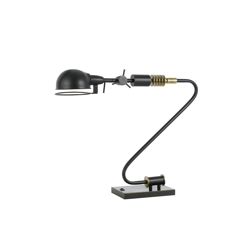 Everlener Metal Desk Lamp