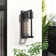 Tulsita Black 1 - Bulb 13" H Glass Outdoor Flush Mount Wall Lantern with Dusk to Dawn